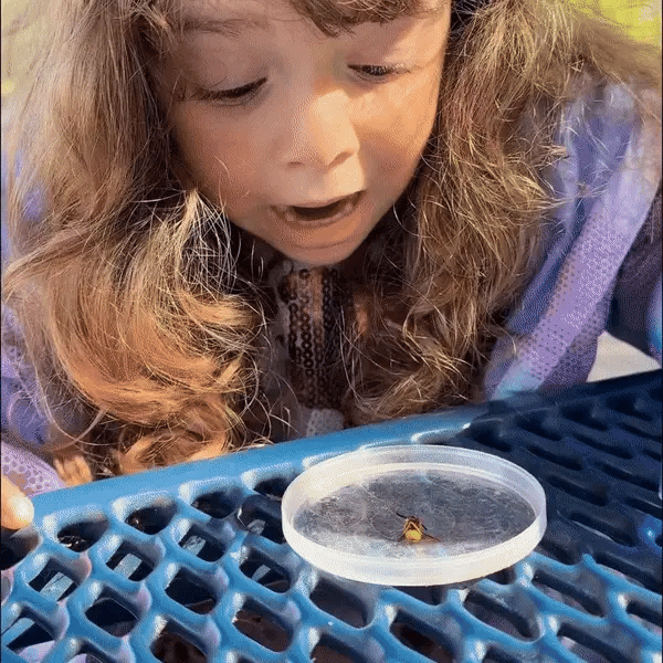 Microscopio per bambini Baky!